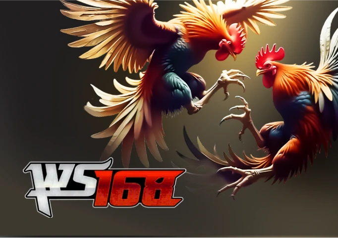 Đá Gà 168