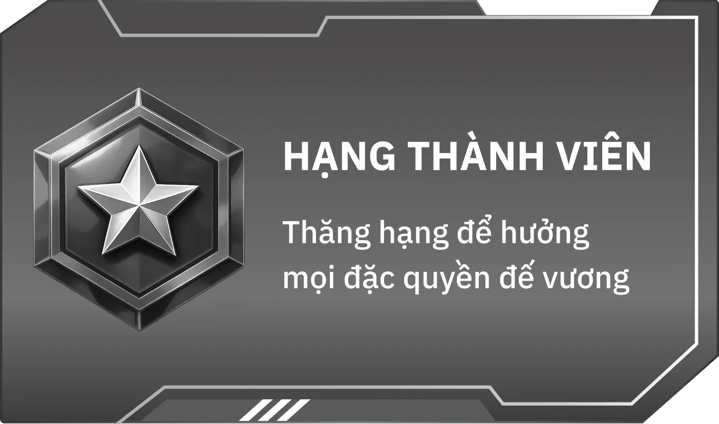 VIP Level